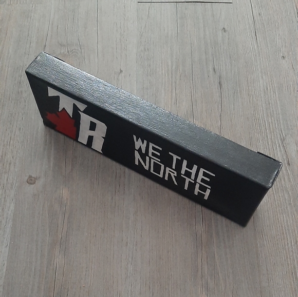 Hand Painted "We The North" Toronto Raptors TR - Picture 2 of 5
